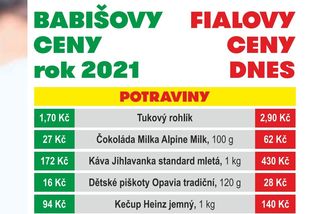 Babišovy a Fialovy ceny. ANO nesedí čísla ani argumenty, říkají ekonomové - Novinky