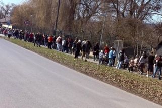 prahain.cz/zivot-ve-meste/masakr-popsala-navstevnice-deni-v-plzenske-zoo-jako-dukaz-poslala-fotku-26582.html