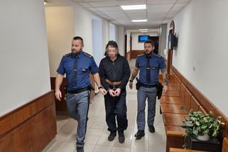 Předstírala, že spí. Soud poslal muže za sexuální zneužití dvou dívek na 2,5 roku do vězení - Novinky