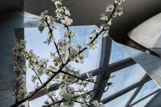 Poselství papeže Lva XIV. ke Světovému dni míru - Biskupství českobudějovické