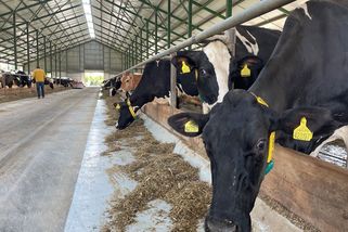 Mléko je až moc levné, stěžují si zemědělci. Ministr se jim chystá pomoct - Seznam Zprávy