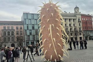 Brno má novou atrakci. Obří maketa bakterie z lidského těla připomíná slavné brněnské mikroskopy - Novinky