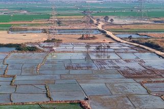 Hrozí globální šok v dodávkách potravin. Horší než ten po invazi na Ukrajinu - Novinky