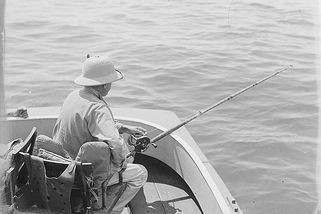 Dotyk | V Labi uloven obří jeseter. Jeho příběh fascinuje už více než 440 let