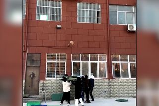 Kocour uvázl ve druhém patře na fasádě, chytili jej do podušek - Novinky