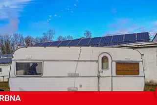 Fenka přežívala zavřená v karavanu. Na nový a milující domov teď čeká v útulku