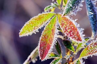 Dnes je poslední klidná noc. Zítra ráno se Česko vzbudí do mrazivého pekla