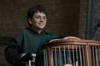 FOTO: Harry Potter, seznamte se s tvářemi nového seriálu - Novinky