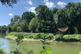 Macinka chystá opatření, která usnadní nakládání s pozemky v CHKO Soutok - Seznam Zprávy