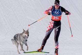 Fotky: Nečekaný závodník. Pes narušil olympijský závod, má i cílový snímek - Seznam Zprávy