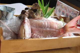 Ikizukuri: Kontroverzní delikatesa, které bije srdce v okamžiku pozření - Médium.cz