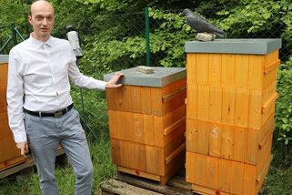 Včelař z Karviné odmítl spálit zdravé včely, může dostat pokutu až 100 000 - Novinky