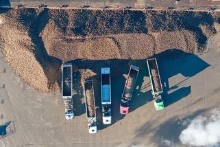 Cukrovarnická kampaň skončila. Česko zůstává v produkci cukru soběstačné a vyváží do zahraničí