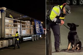 Celníci na D5 u Prahy rozdávali pokuty, obsadili dvě odpočívadla - Novinky