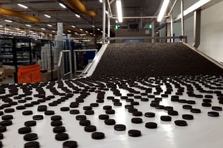 16 000 sušenek za minutu zvládne nová pec v Opavě. Pět tun zkušebních kusů se vyhodí - Novinky