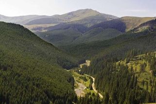 Ukrajince na útěku před válkou zachránilo v rumunských horách kotě, píše AP