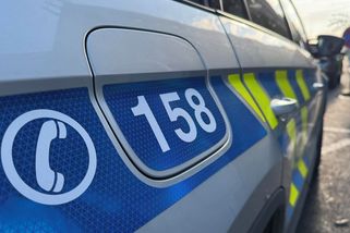 Z Německa se vrátila část motorů, ukradených loni na Trutnovsku. Zmizela jich asi stovka za 35 milionů - Novinky