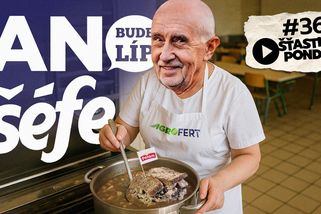 Šťastné pondělí: Co budou jíst vaše děti? Školní jídelníček sestaví Babiš - Seznam Zprávy