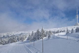 Zima v Česku byla podle klimatologů teplá a suchá - Novinky