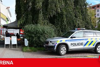 Hranice terorizuje propuštěný vězeň, obtěžuje děti a dívky, vyhrožuje, nešetří vulgarismy. Město si neví rady