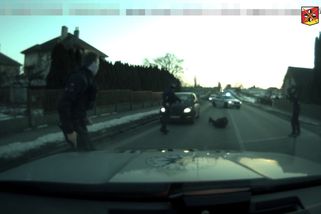 Uhni, já zaparkuju, křikl potetovaný řidič na celníka, šlápl na plyn a ujel - Novinky