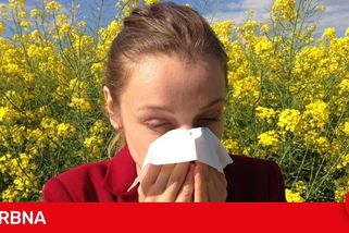 Na jarní alergie platí procházky po dešti, odborníci radí i další fígle