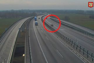 Auto na D35 se řítilo v protisměru, sedmasedmdesátiletý řidič se přiznal - Novinky