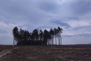Další Křetínského spoušť. Pomozte před ním zachránit Amazonský prales - Médium.cz