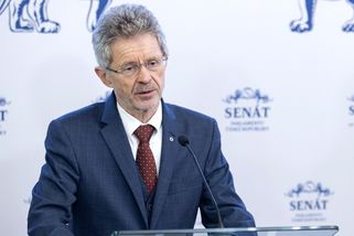 Senát loni vydal za provoz 81 senátorů 740 milionů korun