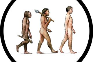 Poznatsvět | Nové studie překvapivě ukazují, že předchůdci lidí nejsou opice, ale vývojová větev pradávných ryb