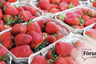 Lidé jsou líní natrhat si ovoce, shodují se čtenáři - Seznam Zprávy