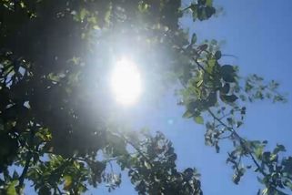 V Česku běžně čtyřicítky, vlny veder každý rok. Klimatolog popsal výhled pro konec století - Novinky