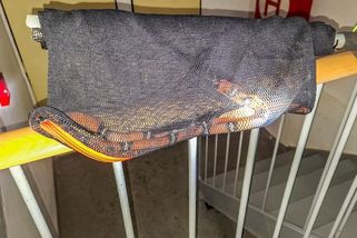 Obyvatele domu v Přerově vyděsil had pod schodištěm - Novinky