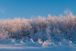 Drsné zaběry z Kamčatky: Sněhové závěje až do devátého patra - Médium.cz