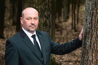 Ceny dřeva zlomily vaz řediteli Lesů ČR. Podnik měl miliardové zisky