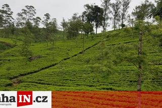 prahain.cz/zivot-ve-meste/matka-pozadala-o-prispevek-na-obedy-dcery-pak-s-ni-odletela-na-sri-lanku-18082.html