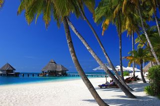 Na Ukrajině vyšetřují poslance, který odjel s rodinou na Maledivy - Novinky