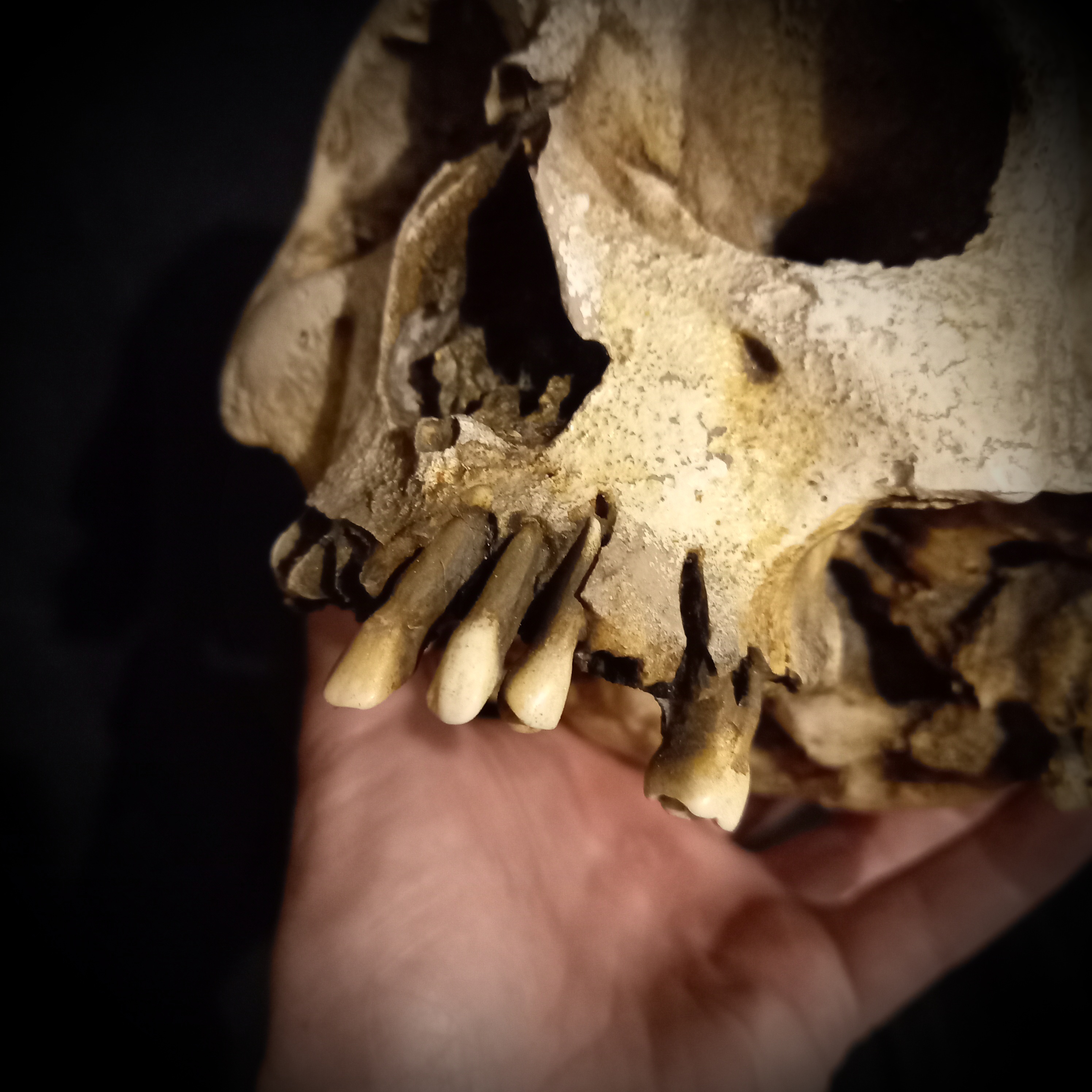 Obrázek u příspěvku číslo 1