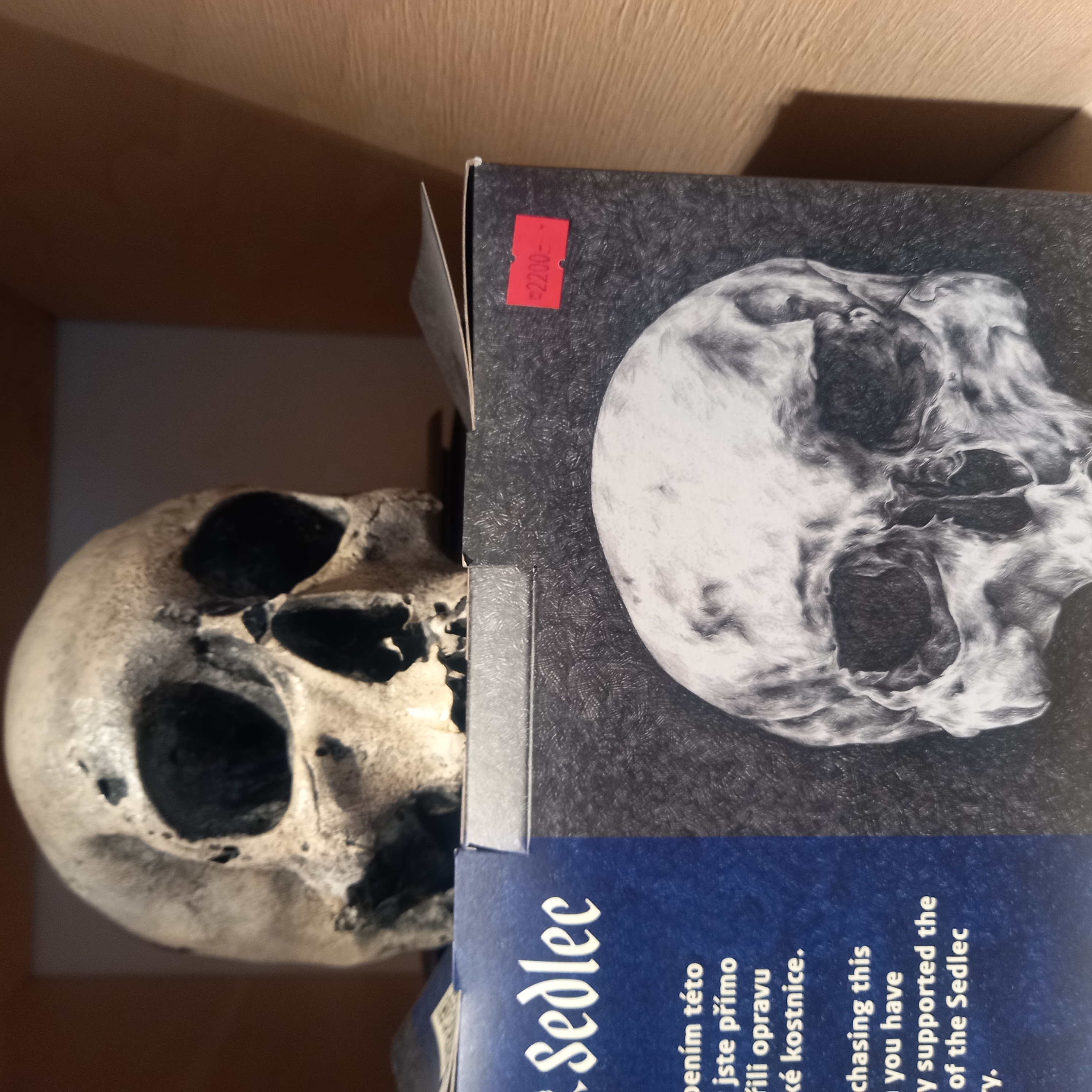 Obrázek u příspěvku číslo 1