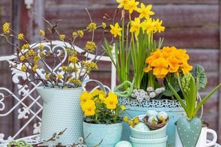 Perfektní inspirace na jarní truhlíky: Trendy, které letos musíte vyzkoušet