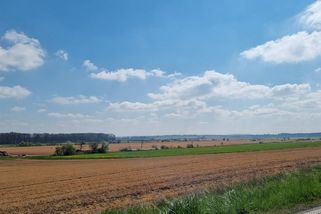 Pole spálená glyfosátem. Není jiná možnost, brání se zemědělci - Seznam Zprávy