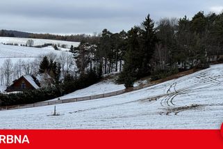 Louku u Repech zřejmě pro zábavu rozjezdil stříbrný Passat. Je vypsaná odměna za dopadení řidiče