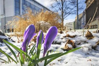 RADAR: Takřka 20 °C v Česku vystřídá až půl metru sněhu. Podívejte se, jak bude u vás