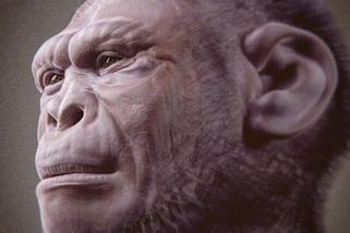 Zásadní zauzlení lidské evoluce