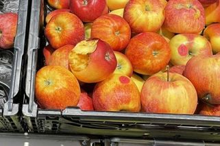 Senior kousl do jablka a vrátil ho zpět. Prodavačka obvinila mé dítě. Tohle si nenechám líbit už nikdy!