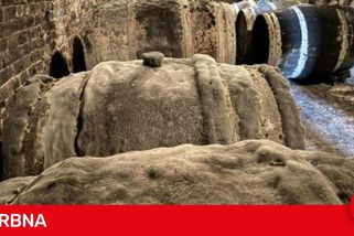 Plesnivé stěny i sudy. Potravináři zavřeli dva nevyužívané vinné sklepy v Mikulově