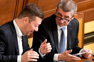 Hledá se poslušný čoklík. Pseudovlastenci by rádi...