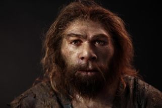 National Geographic | Neandertálští muži si vybírali partnerky z řad Homo sapiens a stopy tohoto setkání neseme dodnes v DNA