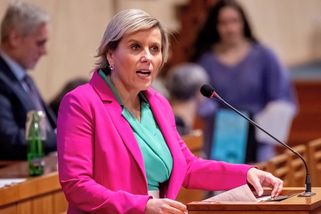 Senátorka Mračková Vildumetzová a buchta na plech