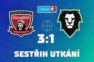 Hradečtí hokejisté dostanou téměř dvacet milionů na úhradu ztrát - Sport.cz